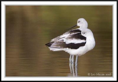 PC-_J3W6628CC framed.jpg