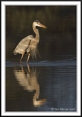 PC-_J3W9130CC framed.jpg