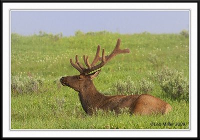 PC-_MG_0009CC framed.jpg