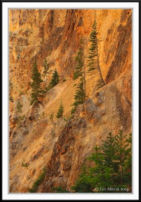 PC-_J3W2227 YNP Sept 17-19 2009CC framed.jpg