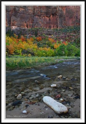 PC-IMG_0069cc.jpg