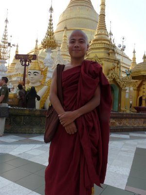 Our Young Monk Friend