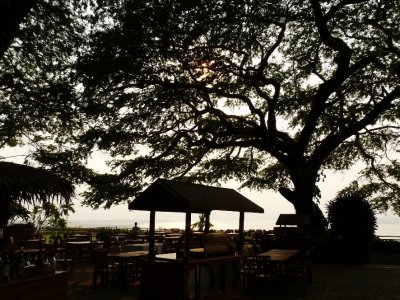 Acacia Terrace At Bagan Thande Hotel