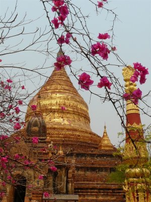 Dhammayazika Pagoda