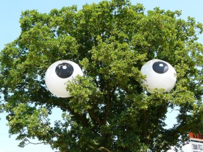 Here's Looking At You