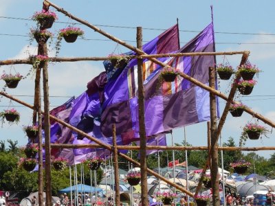 Flowers & Flags
