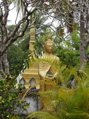 Serene Gardens