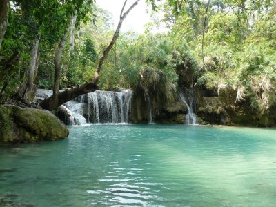 Great Place For A Swim