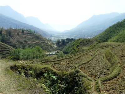 More Terracing