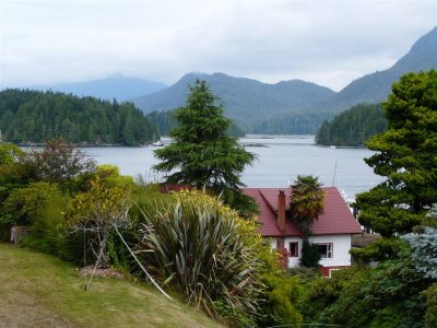 Tofino