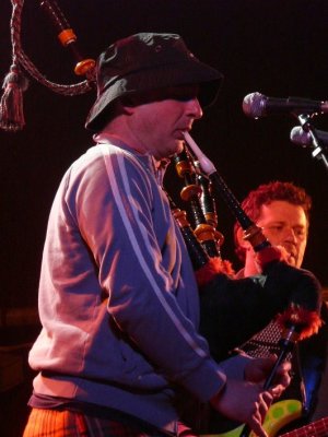 Peatbog Faeries