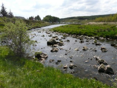 Riverside Walk