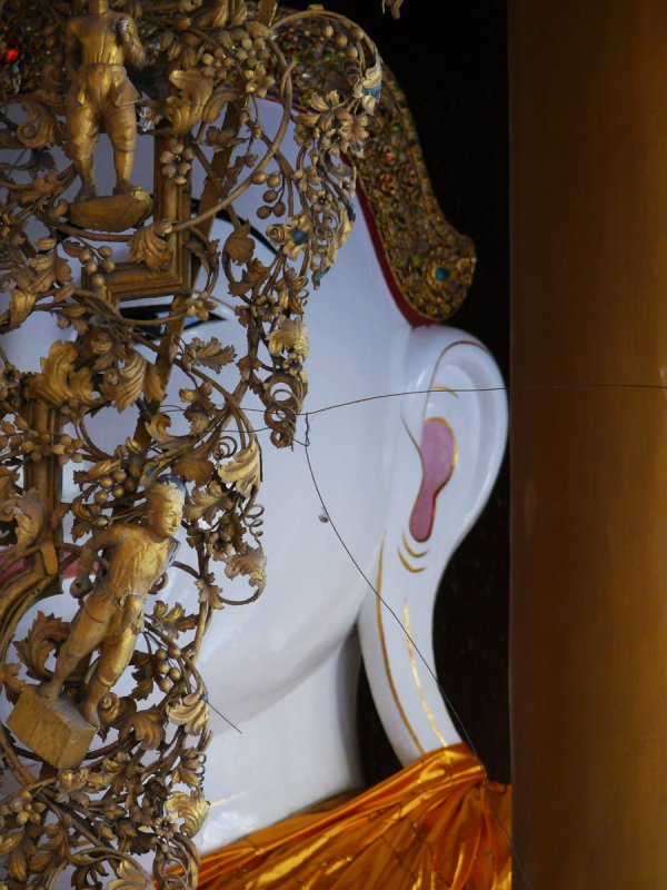 Hidden buddha.jpg