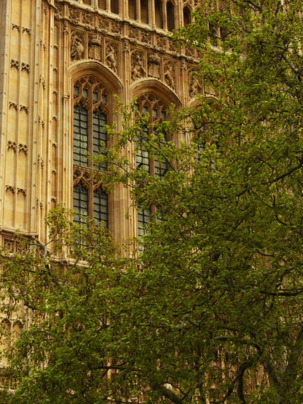Spring green web.jpg