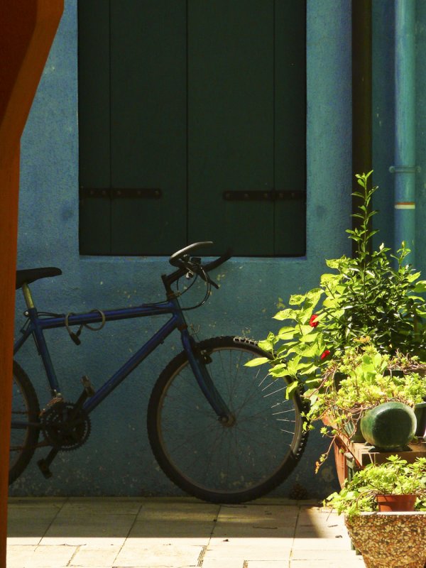 Bicycle.jpg
