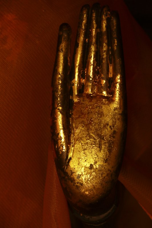 Buddha hand.jpg