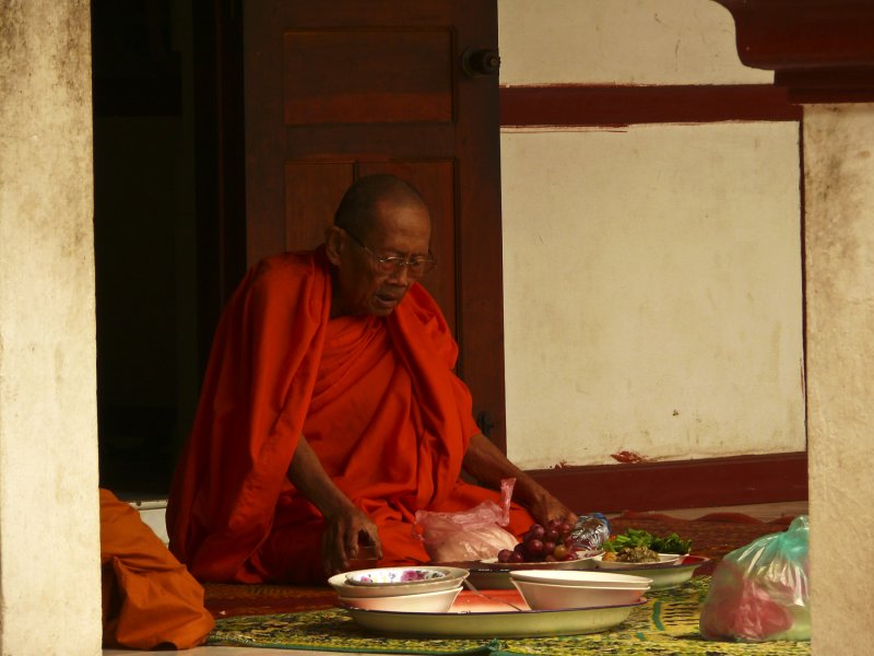 Preparing his meal.jpg