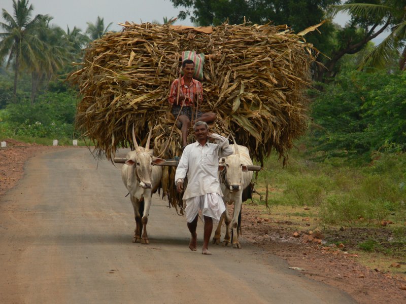 farmers around badami