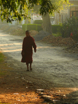 Monk in the morning.jpg