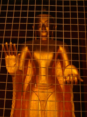 In a golden cage.jpg