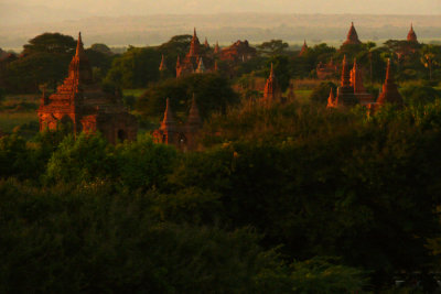 Fields of Bagan 20.jpg