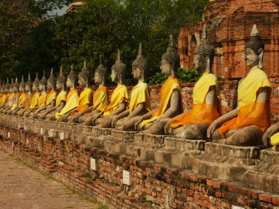 Yellow clad buddhas Ayuthaya.jpg