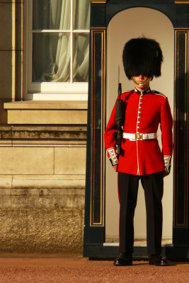 Guard Buckingham Palace web.jpg