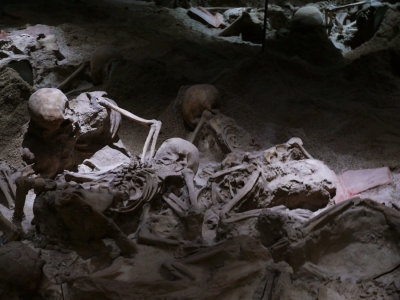 Bodies of Pompei web.jpg