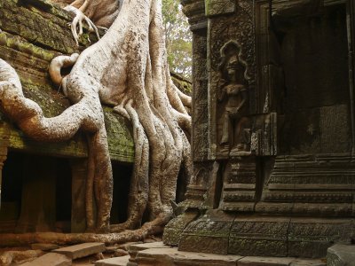 Ta Prohm 2.jpg