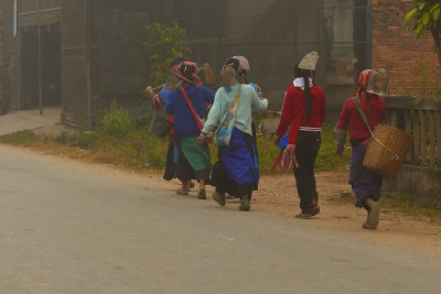 Tribal women on route to work.jpg