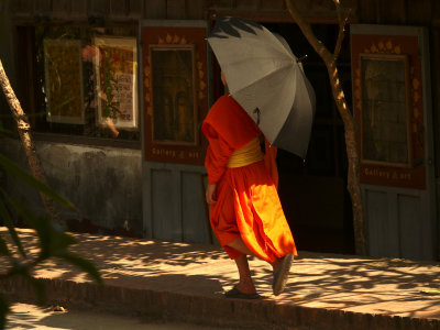 Monk with umbrella.jpg