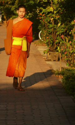 Lone monk walking.jpg