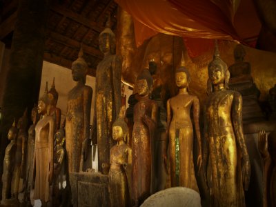 Many buddha statues.jpg