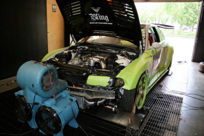 samdyno1.jpg