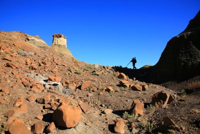 The Photographer - Search in the Wilderness