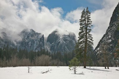 Valley Floor