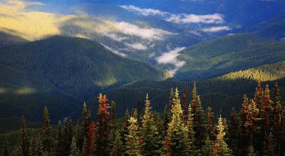 Clouds in the Valley