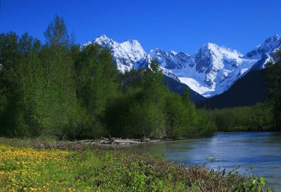 Spring along Haines Highway