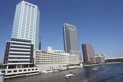 The City of Tampa