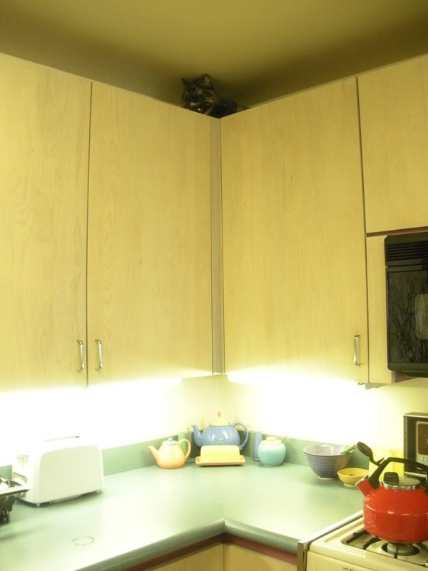 ZZkitchen.JPG