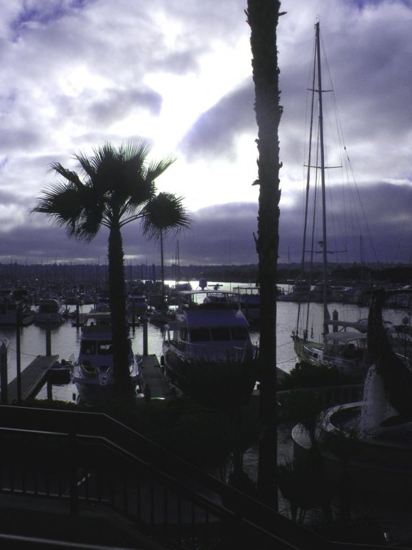 YachtHarbor1.jpg