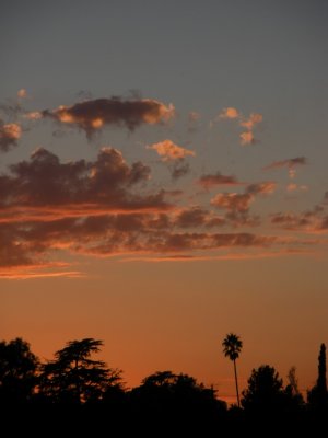 Sunset2.JPG