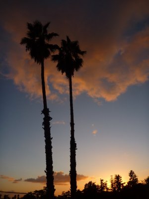 ReachForTheSky.jpg