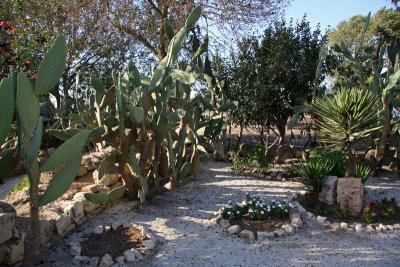 Gardens of the Church of the Transfiguration
