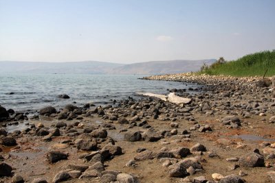 Coast of the Sea of Galilee