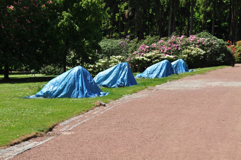 LES LIONS DU JARDIN DHIVER