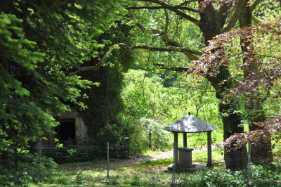 LA FONTAINE A CAPIA & LES RUINES DU CHTEAU  + carte postale