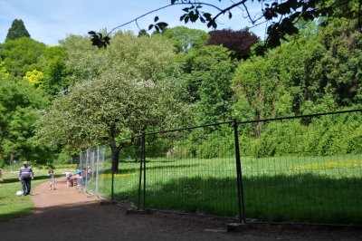 DERRIERES LES GRILLES, LES RUINES  + carte postale