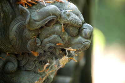 LANTERNE JAPONAISE (détails)