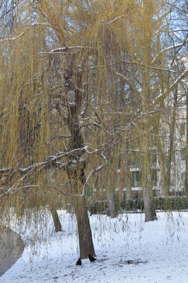 ETTERBEEK - BRUXELLES /LE  PARC LEOPOLD